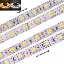 12V LED Strip Lights 5050 SMD